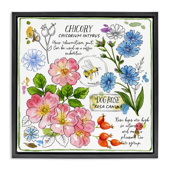 Stupell Industries Cottage Varied Herbs Benefits Black Floating Frame Canvas Art, 25 x 25, by Jane Maday