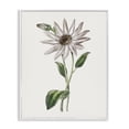 thumbnail image 1 of Stupell Industries Cottage Vintage Mum Sprig White Framed Giclee Art, 24 x 30, by CAD Designs, 1 of 7