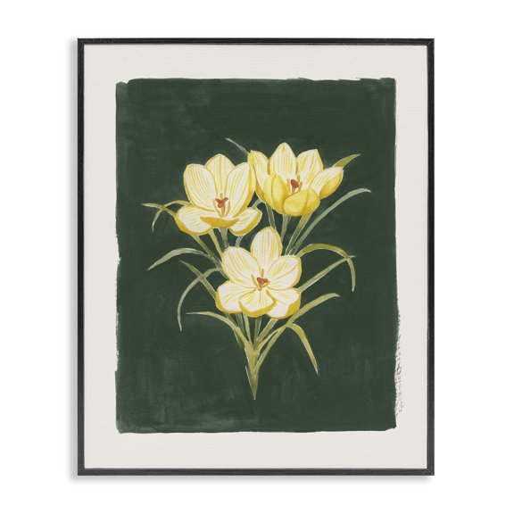 Stupell Industries Cottage Yellow Crocus Trio Study Black Framed Giclee Art, 11 x 14, by Grace Popp