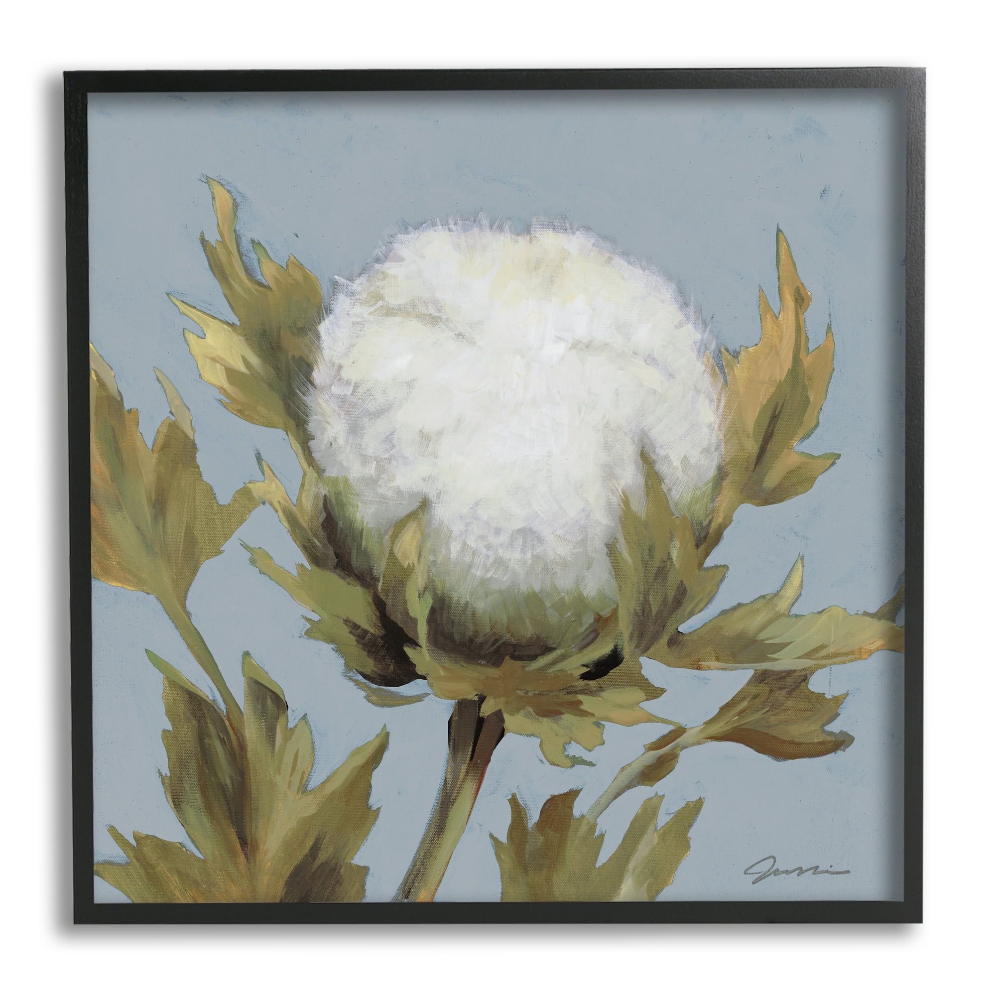 Stupell Industries Cotton Flower Blooming Nature Botanical & Floral Painting Black Framed Art Print Wall Art