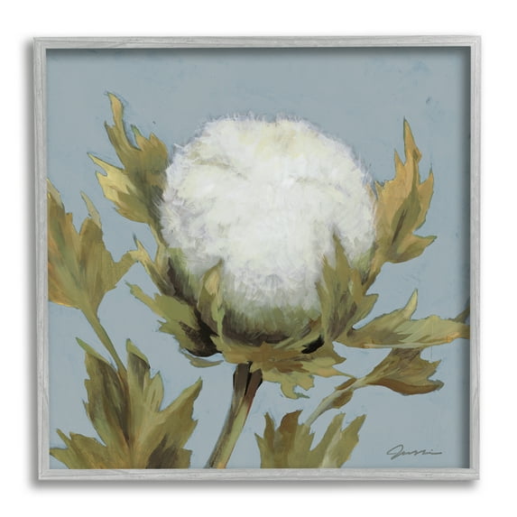 Stupell Industries Cotton Flower Blooming Nature Botanical & Floral Painting Gray Framed Art Print Wall Art