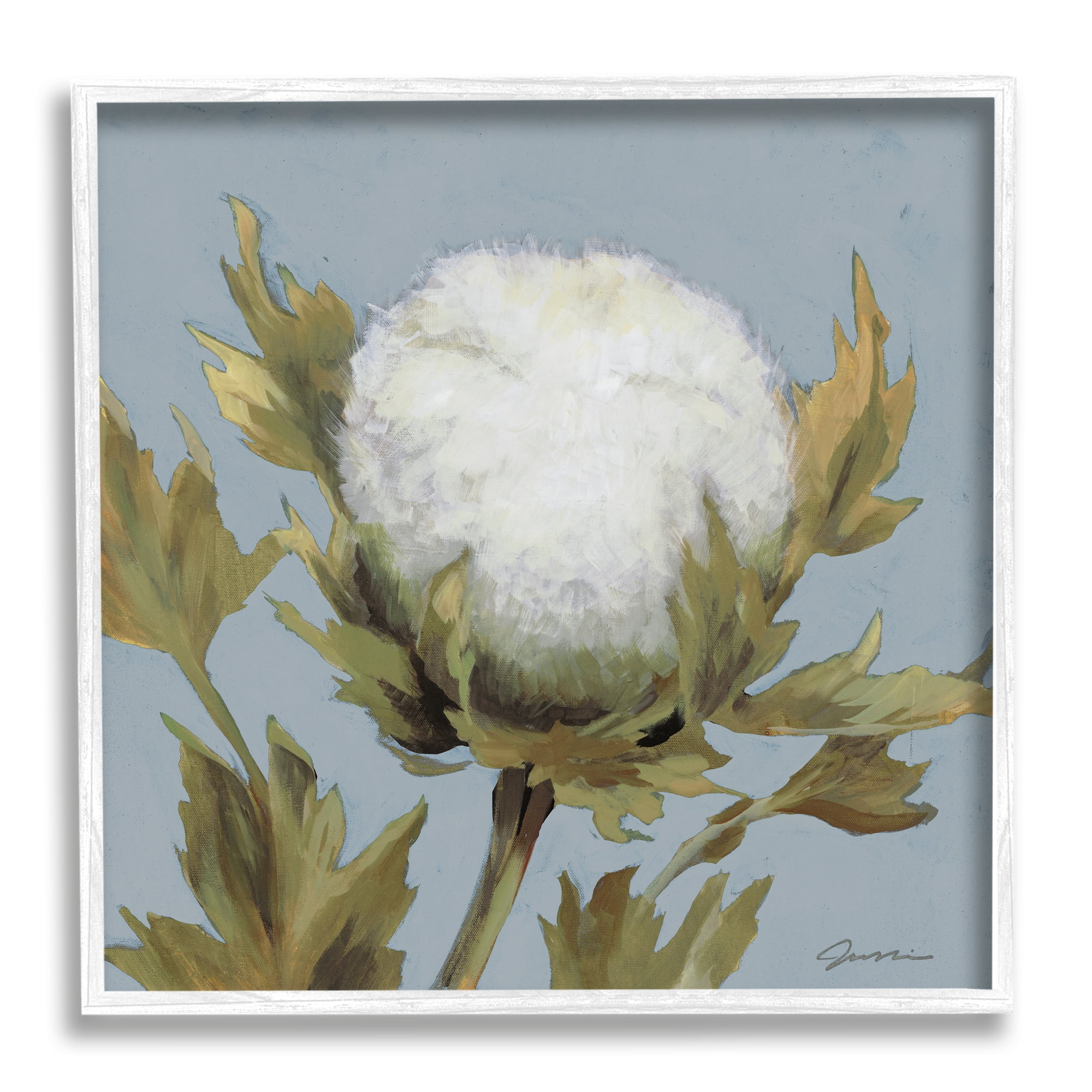 Stupell Industries Cotton Flower Blooming Nature Botanical & Floral Painting White Framed Art Print Wall Art