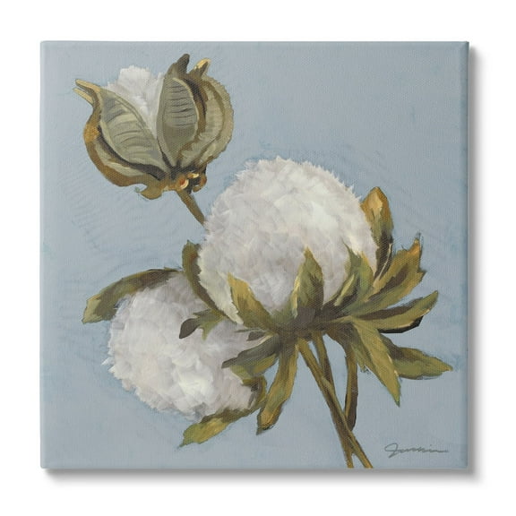 Stupell Industries Cotton Flower Blooms Painting Botanical & Floral Painting Gallery Wrapped Canvas Print Wall Art
