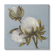 Stupell Industries Cotton Flower Blooms Painting Botanical & Floral Painting Gallery Wrapped Canvas Print Wall Art