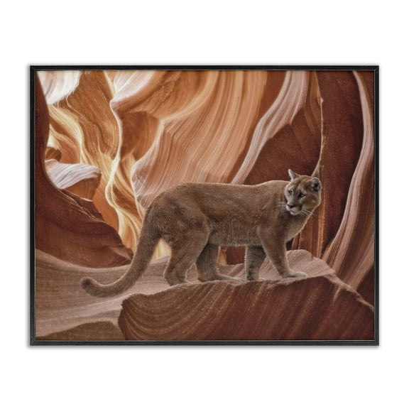 Stupell Industries Cougar Canyon View Black Framed Giclee Art design by Collin Bogle, 11 x 14