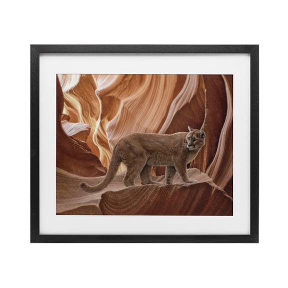 Stupell Industries Cougar Canyon View Black Framed Print Under Glass design by Collin Bogle, 13 x 16