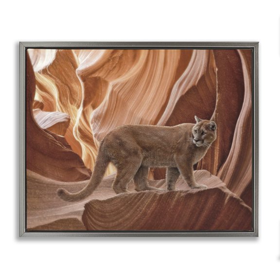 Stupell Industries Cougar Canyon View Gray Framed Floater Canvas Wall Art design by Collin Bogle, 25 x 31
