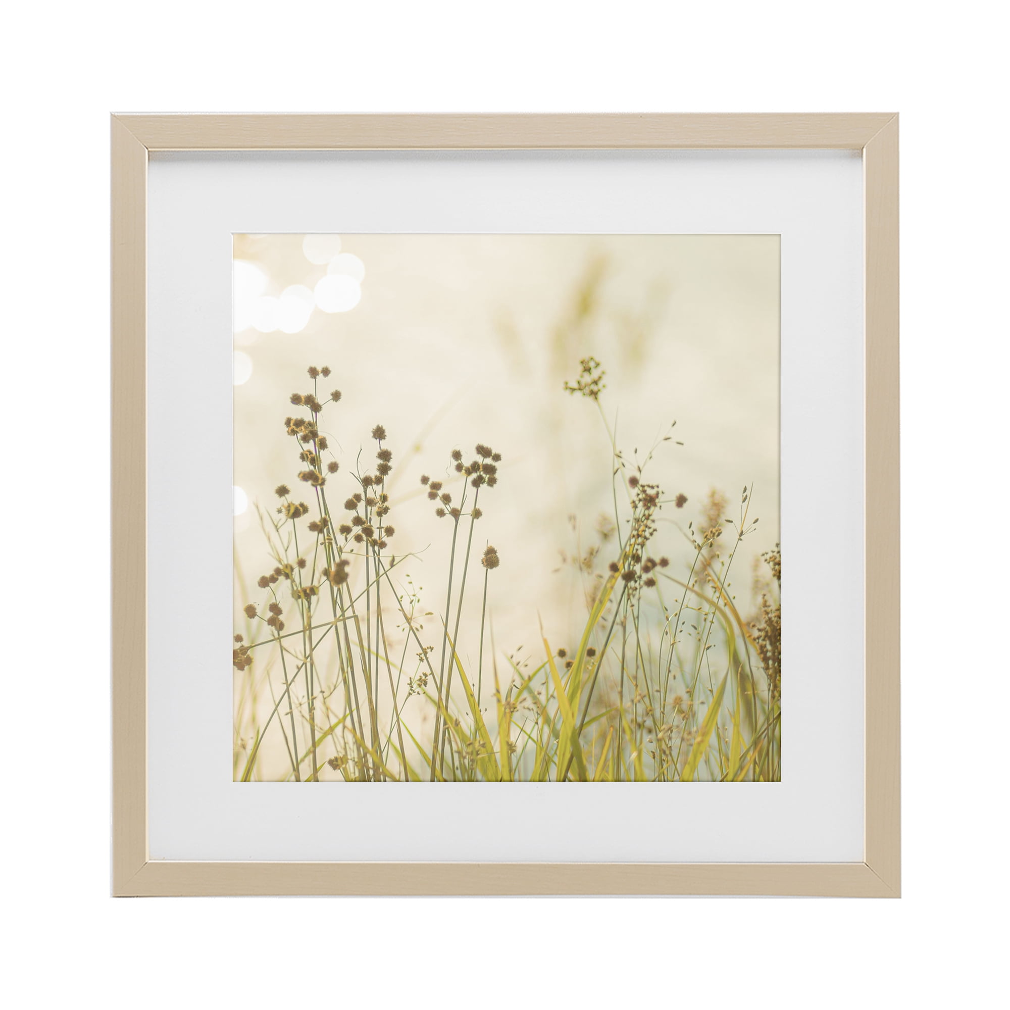 Stupell Industries Country Afternoon Walk Birch Framed Print Under Glass, design by Erin Marie