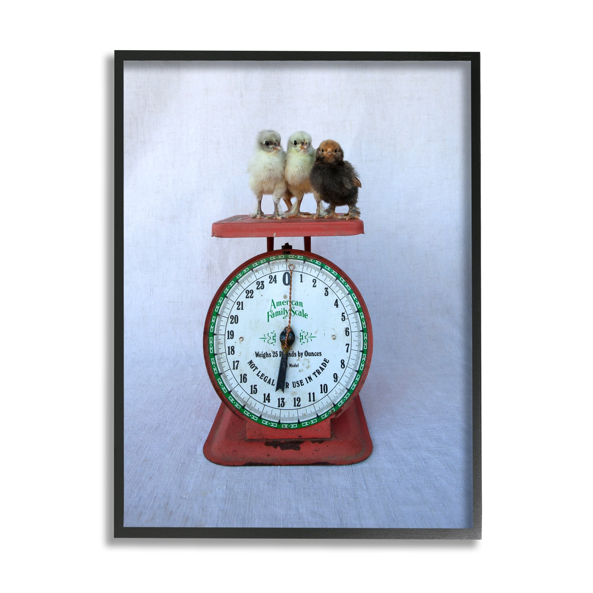 Stupell Industries Country Baby Chick Birds on Vintage Kitchen Scale Photograph Black Framed Art Print Wall Art, Design by Tania Soderman