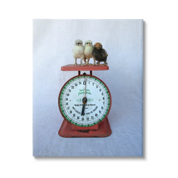 Stupell Industries Country Baby Chick Birds on Vintage Kitchen Scale Photograph Gallery Wrapped Canvas Print Wall Art, Design by Tania Soderman