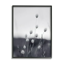 Stupell Industries Country Botanicals Photography Botanical & Floral Photography Black Framed Art Print Wall Art, 11 x 14