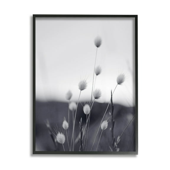 Stupell Industries Country Botanicals Photography Botanical & Floral Photography Black Framed Art Print Wall Art, 11 x 14