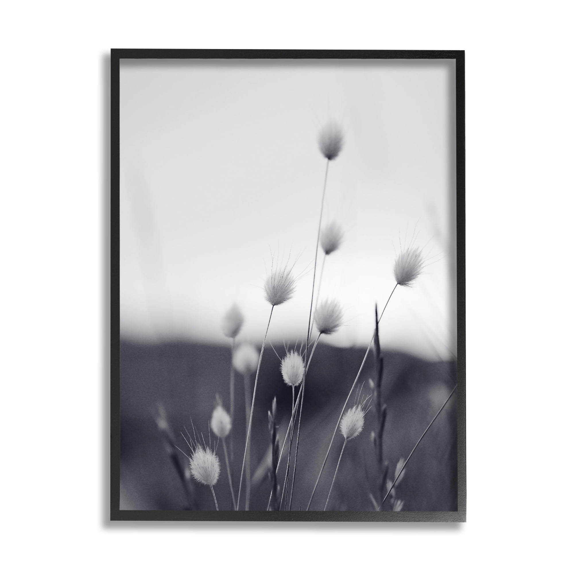 Stupell Industries Country Botanicals Photography Botanical & Floral Photography Black Framed Art Print Wall Art, 16 x 20