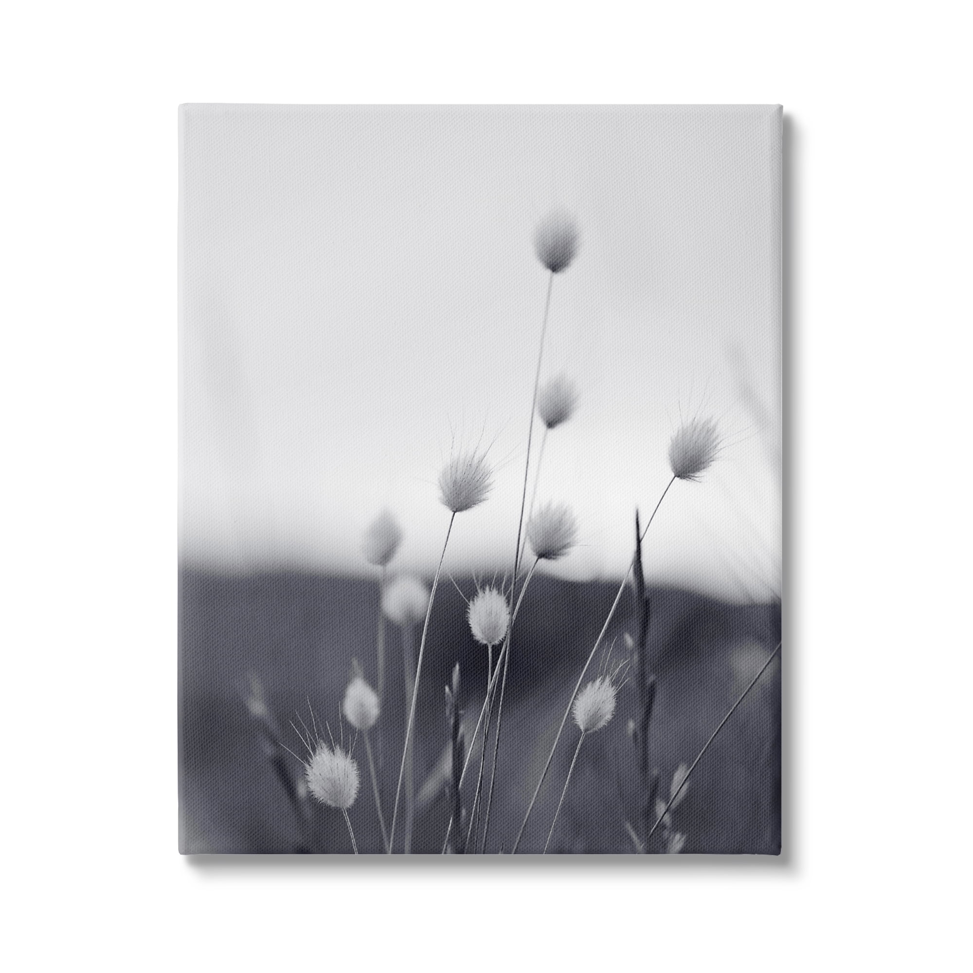 Stupell Industries Country Botanicals Photography Botanical & Floral Photography Gallery Wrapped Canvas Print Wall Art, 36 x 48