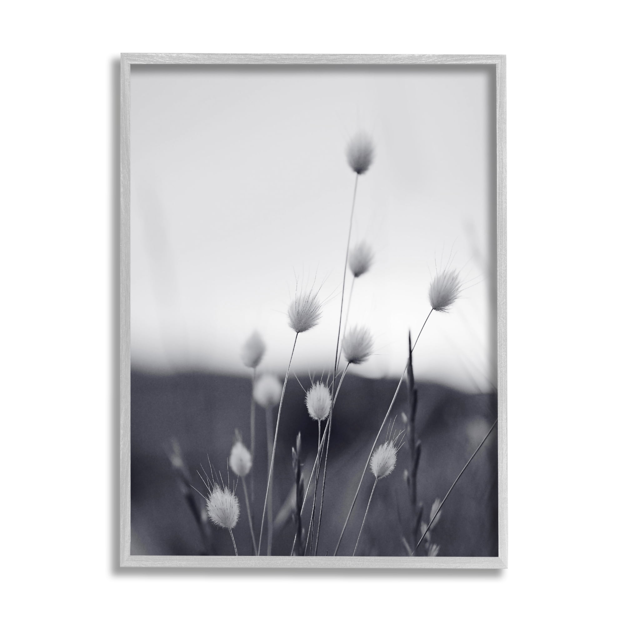 Stupell Industries Country Botanicals Photography Botanical & Floral Photography Gray Framed Art Print Wall Art, 11 x 14
