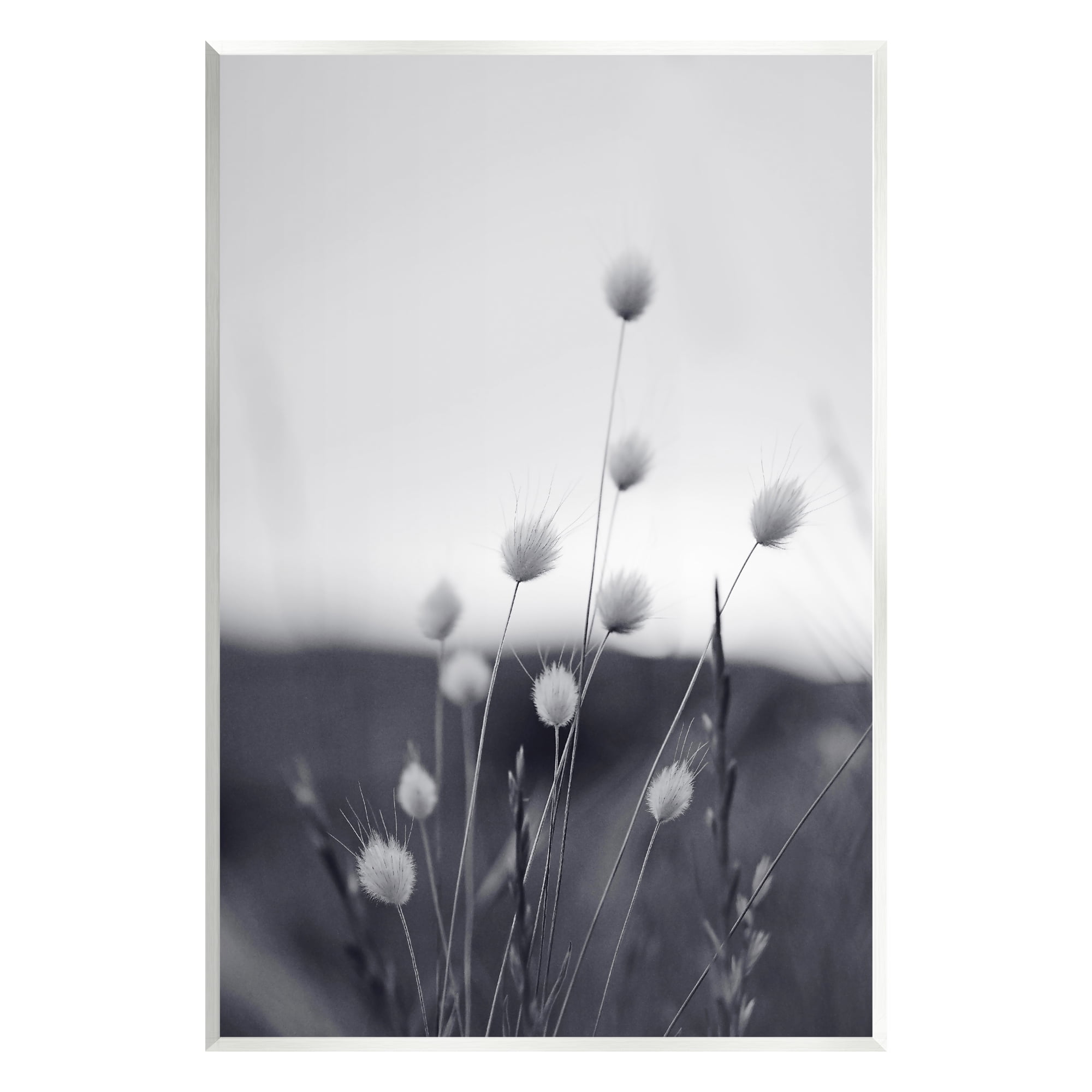 Stupell Industries Country Botanicals Photography Botanical & Floral Photography Unframed Art Print Wall Art, 10 x 15