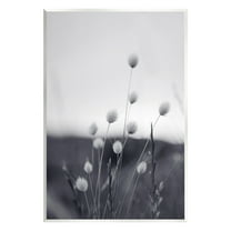 Stupell Industries Country Botanicals Photography Botanical & Floral Photography Unframed Art Print Wall Art, 10 x 15