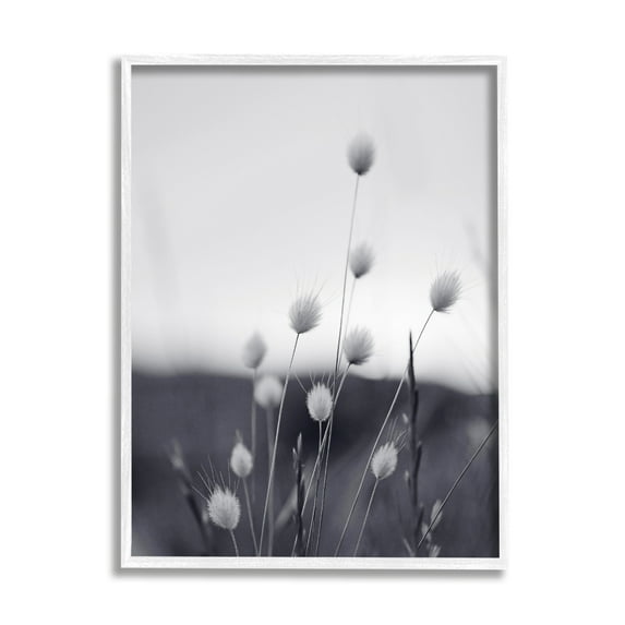 Stupell Industries Country Botanicals Photography Botanical & Floral Photography White Framed Art Print Wall Art, 11 x 14