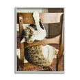 thumbnail image 1 of Stupell Industries Country Cat Lounging Wooden Chair Still Life Design by Sueellen Ross, 1 of 7