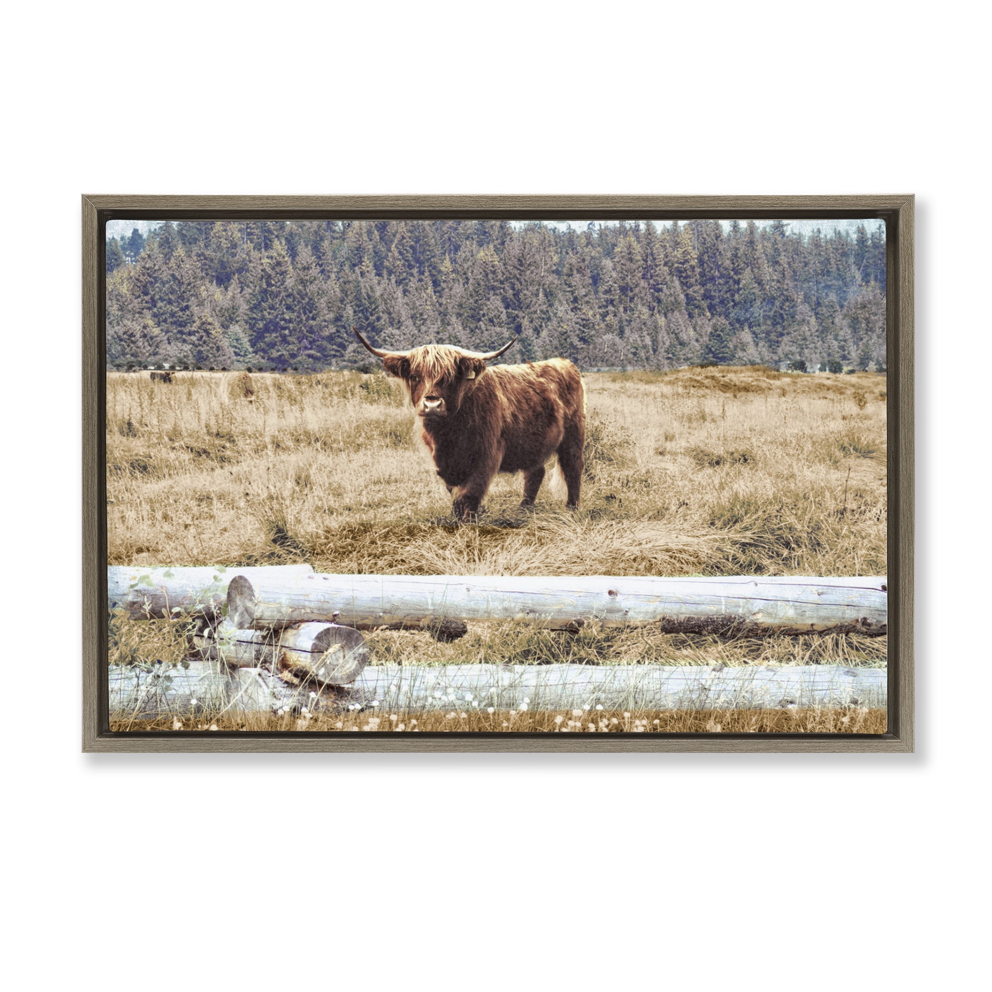 Stupell Industries Country Cattle with Fence Animals & Insects Photography Brown Floater Framed Canvas Art Print Wall Art, 25 x 17