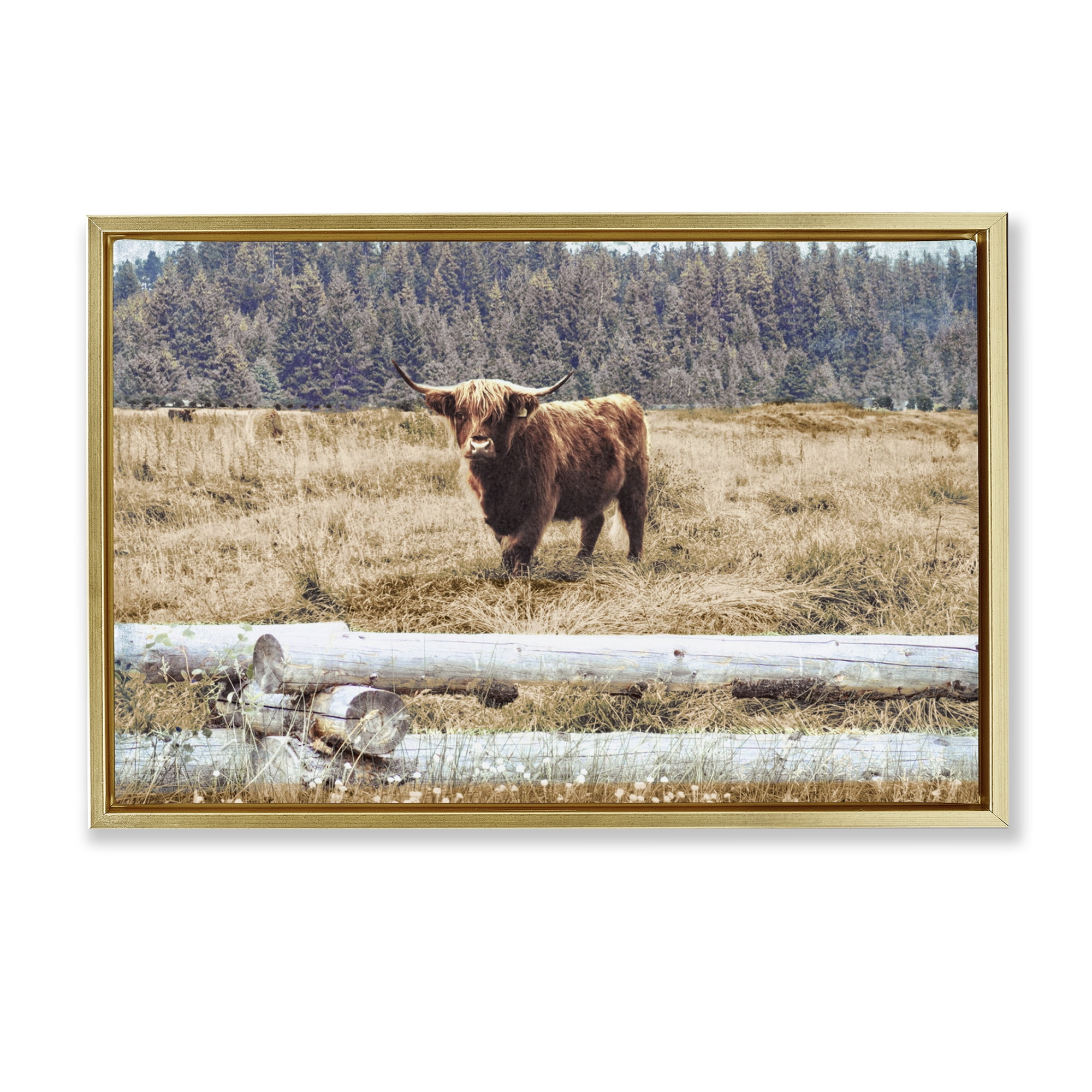 Stupell Industries Country Cattle with Fence Animals & Insects Photography Gold Floater Framed Canvas Art Print Wall Art, 31 x 21