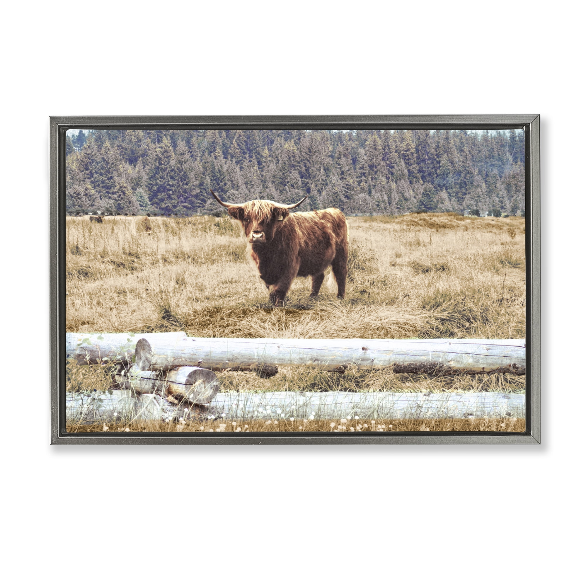 Stupell Industries Country Cattle with Fence Animals & Insects Photography Gray Floater Framed Canvas Art Print Wall Art, 31 x 21