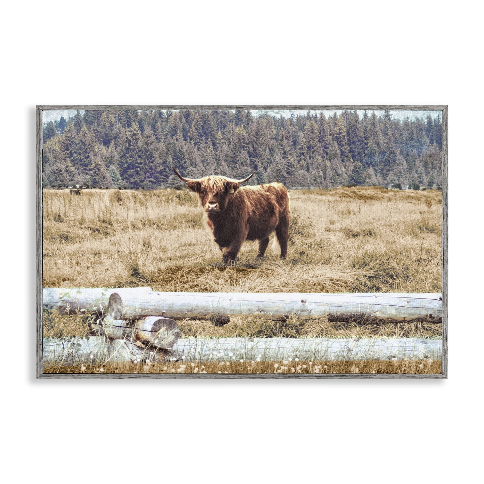 Stupell Industries Country Cattle with Fence Animals & Insects Photography Gray Framed Art Print Wall Art, 18 x 12