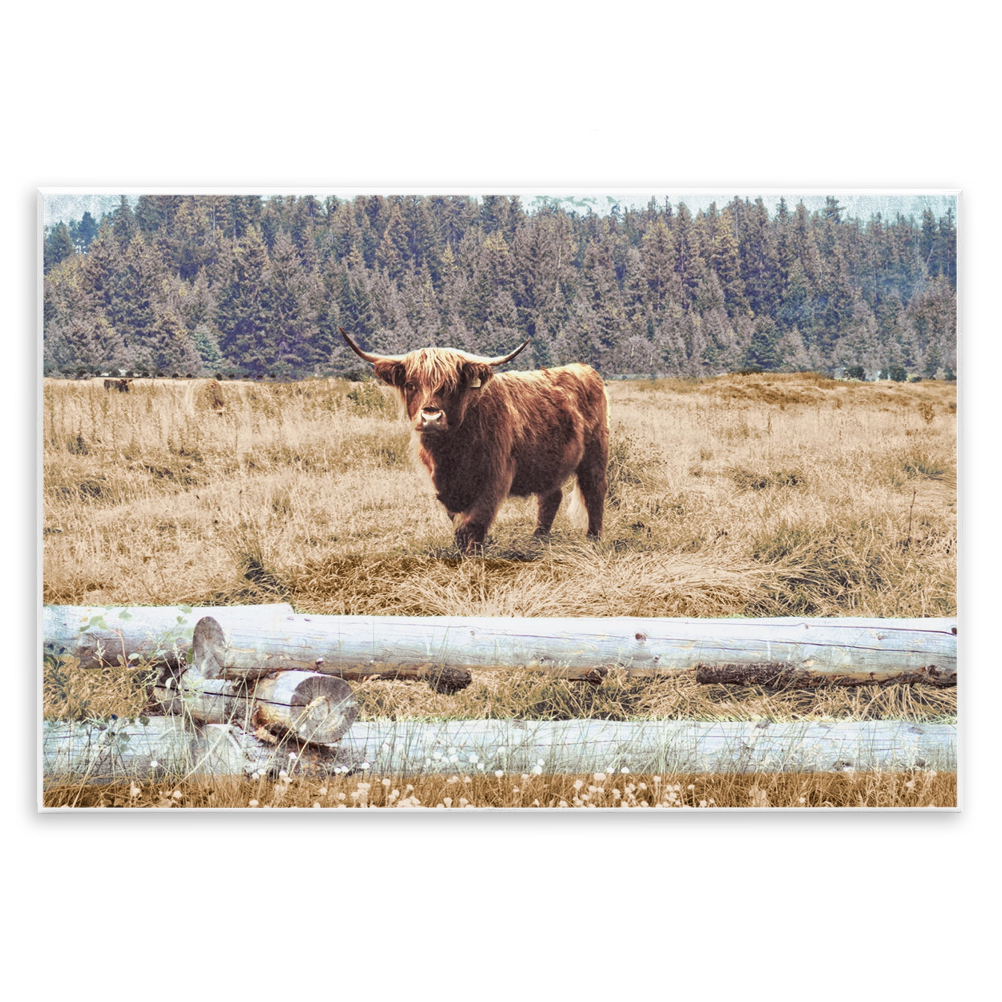 Stupell Industries Country Cattle with Fence Animals & Insects Photography Unframed Art Print Wall Art, 15 x 10