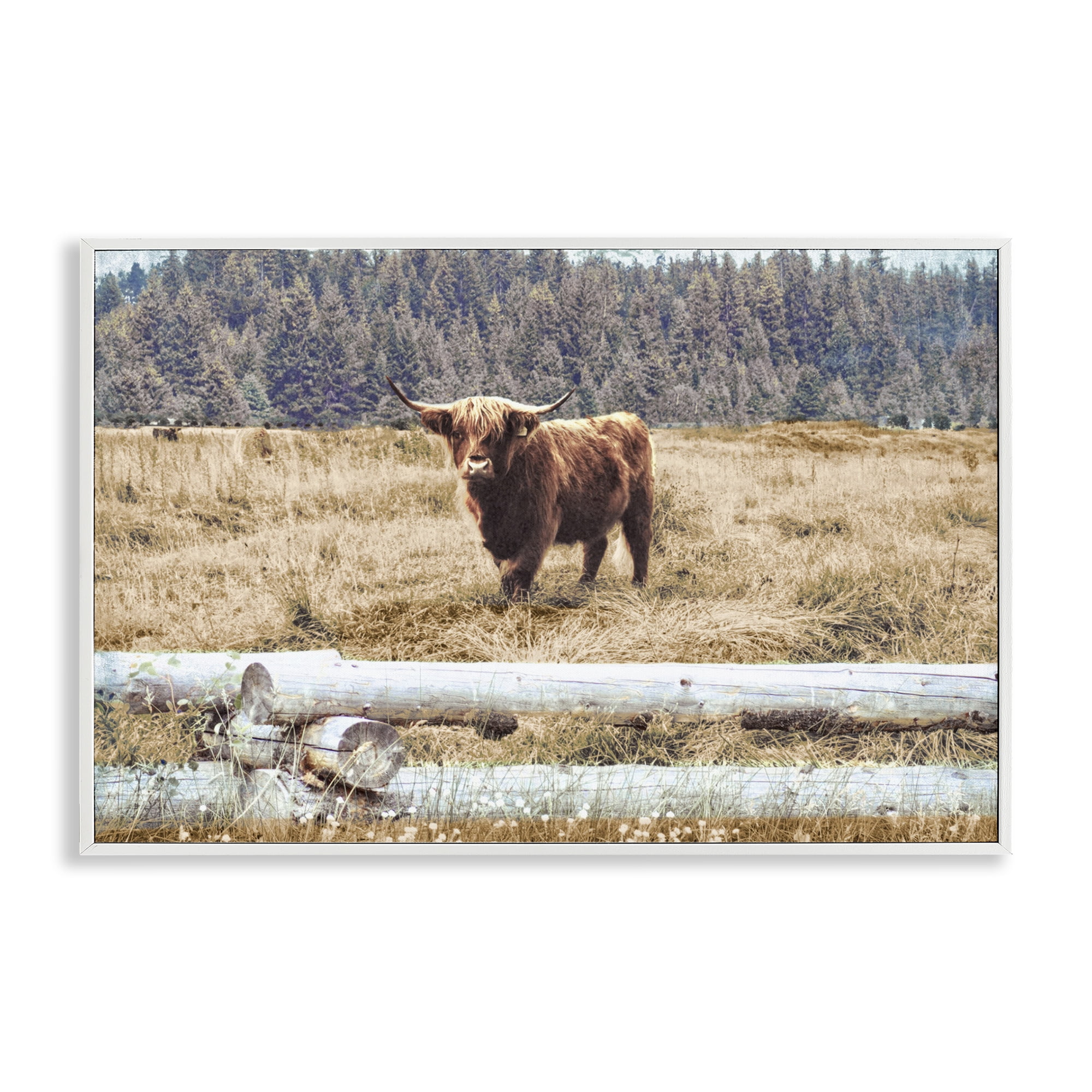 Stupell Industries Country Cattle with Fence Animals & Insects Photography White Framed Art Print Wall Art, 30 x 20
