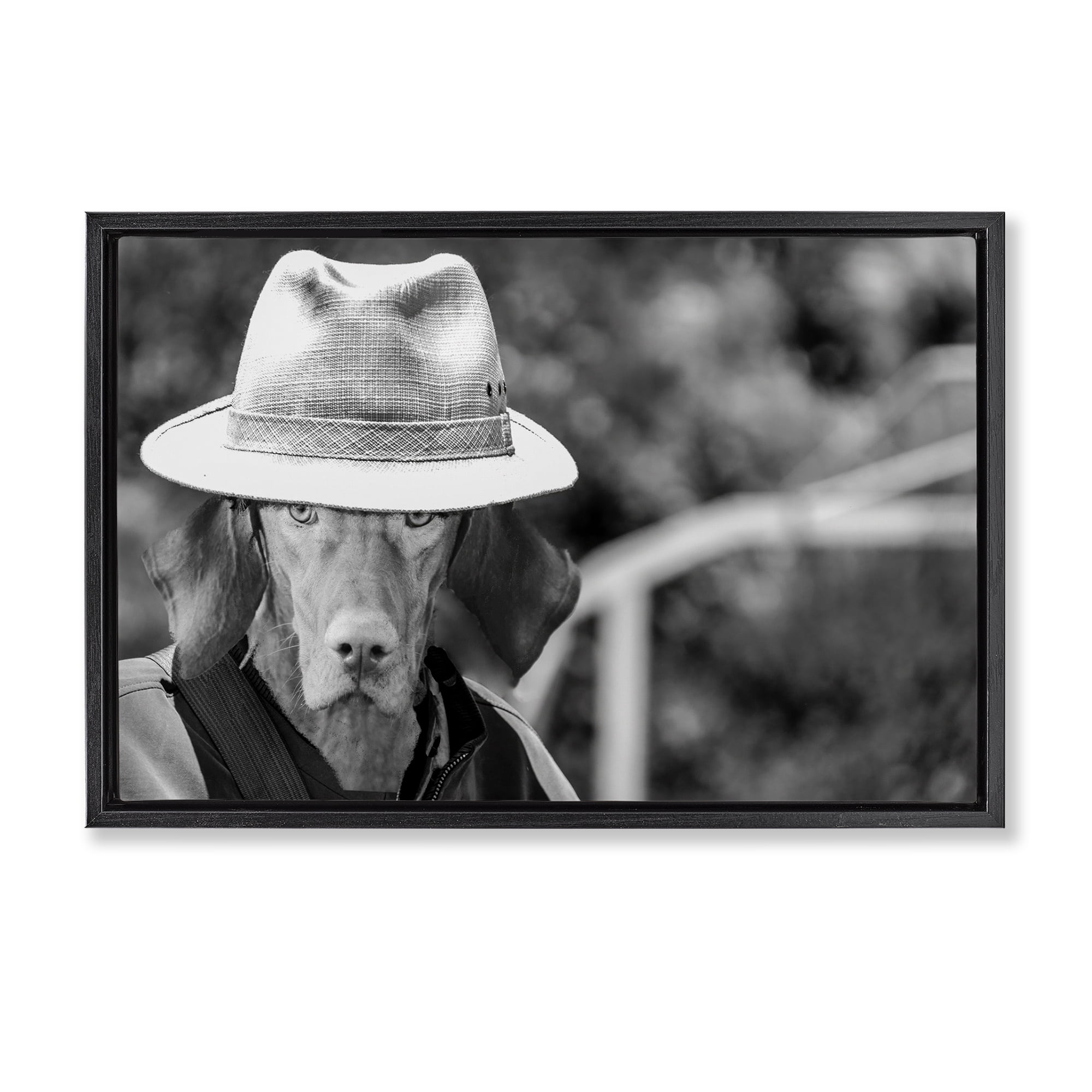 Stupell Industries Country Cowboy Dog Animals & Insects Photography Black Floater Framed Canvas Art Print Wall Art, 25 x 17