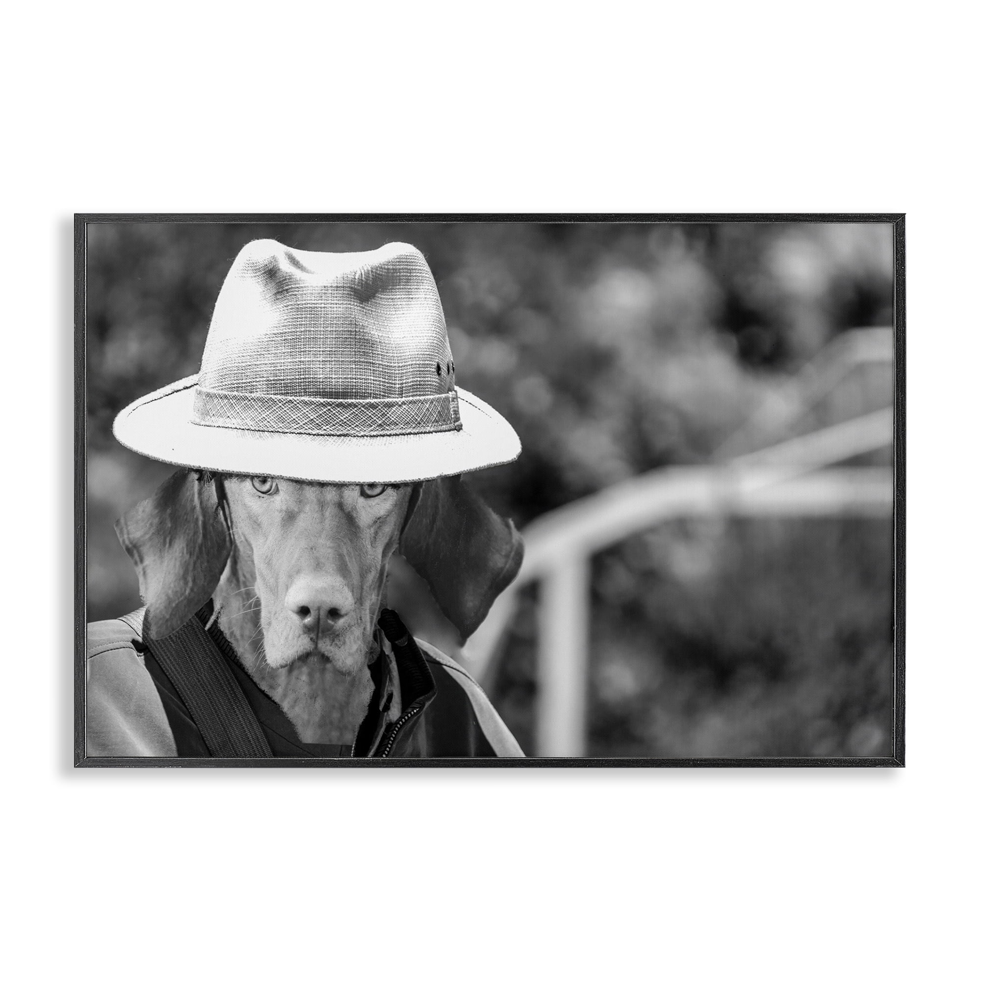 Stupell Industries Country Cowboy Dog Animals & Insects Photography Black Framed Art Print Wall Art, 24 x 16