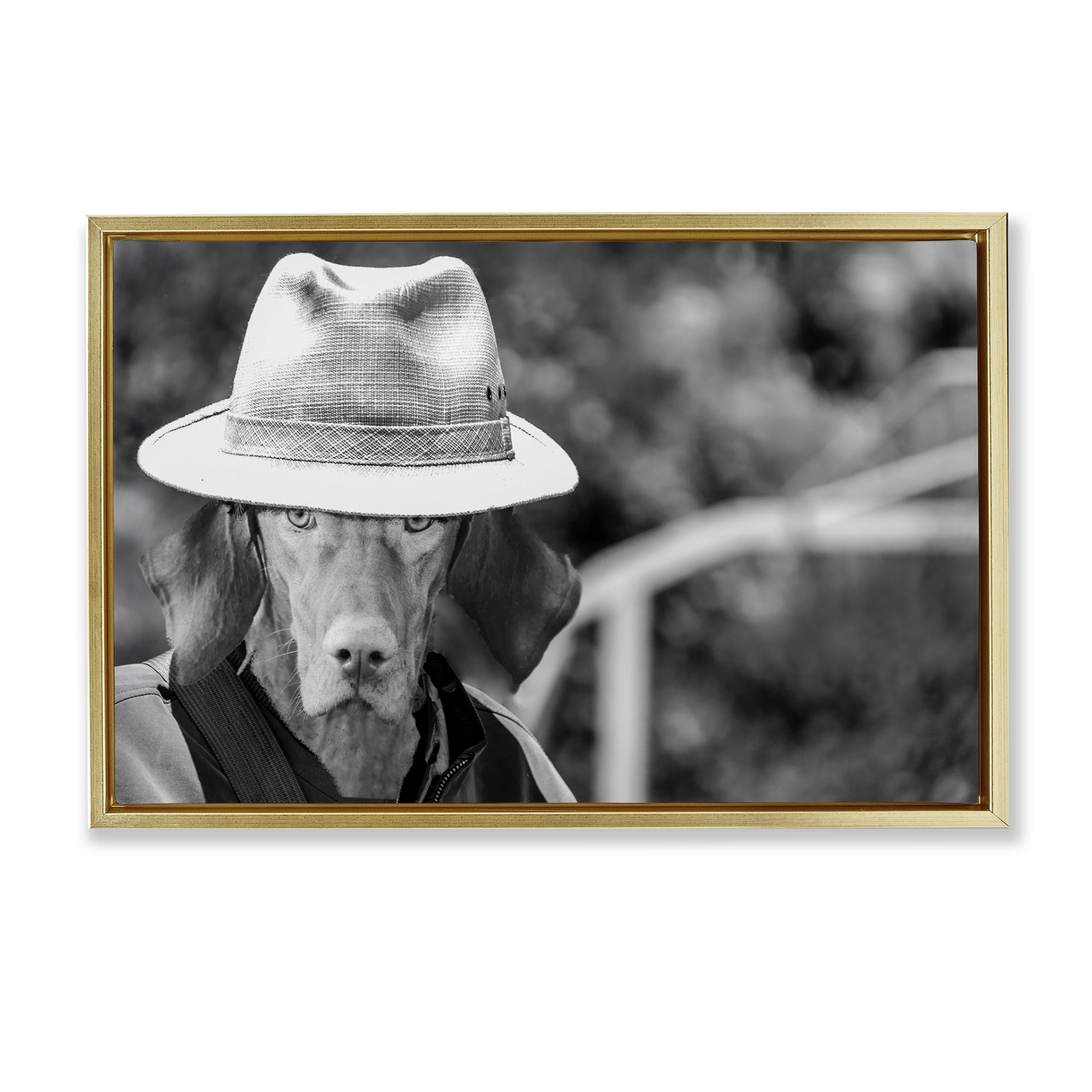 Stupell Industries Country Cowboy Dog Animals & Insects Photography Gold Floater Framed Canvas Art Print Wall Art, 25 x 17