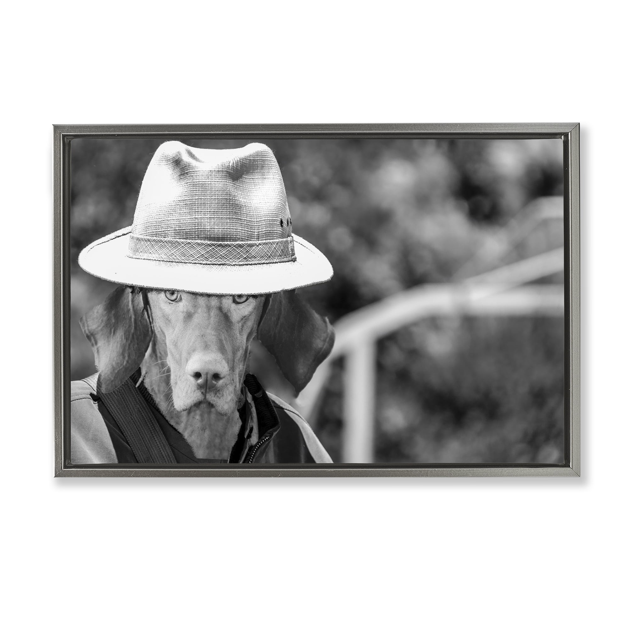 Stupell Industries Country Cowboy Dog Animals & Insects Photography Gray Floater Framed Canvas Art Print Wall Art, 25 x 17