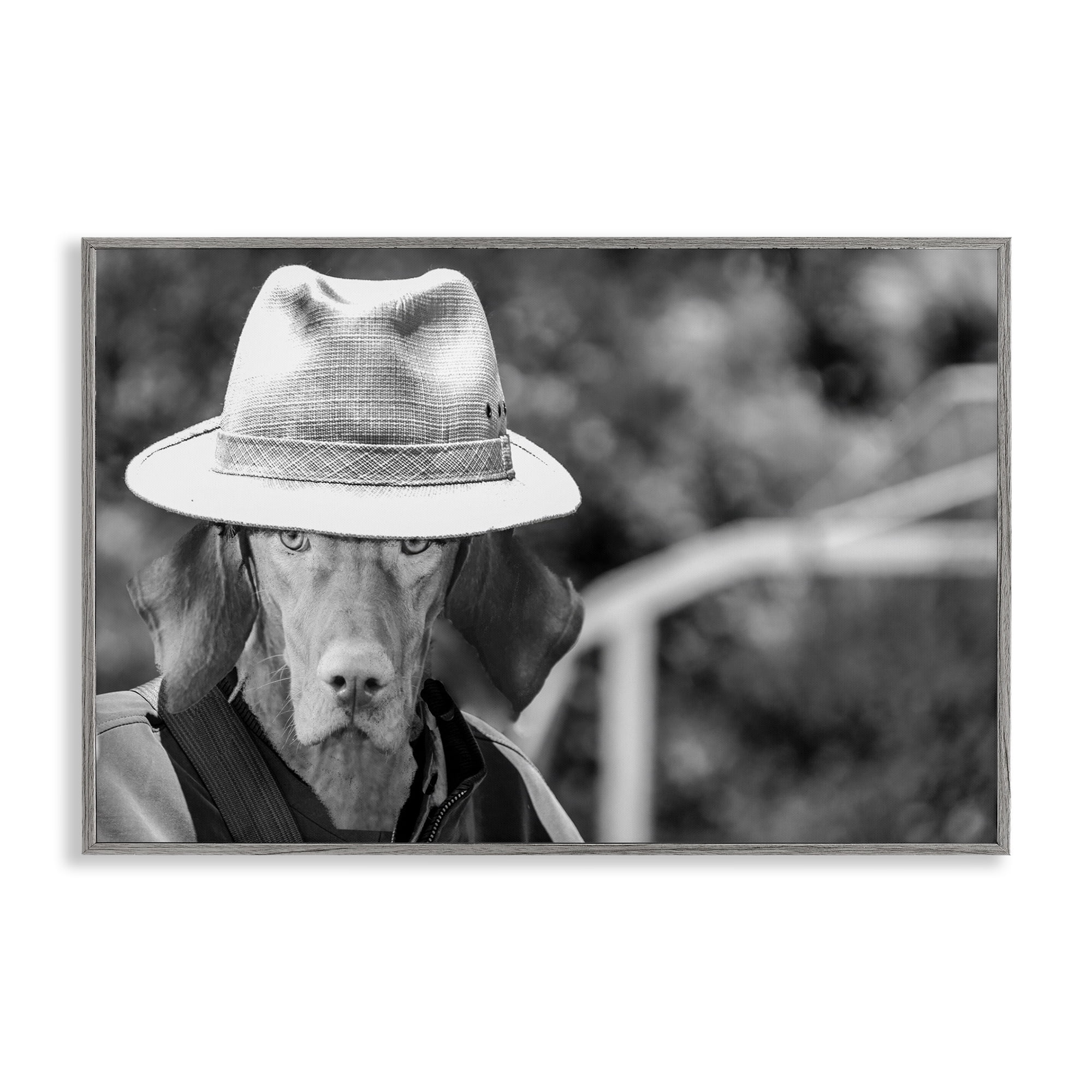 Stupell Industries Country Cowboy Dog Animals & Insects Photography Gray Framed Art Print Wall Art, 24 x 16