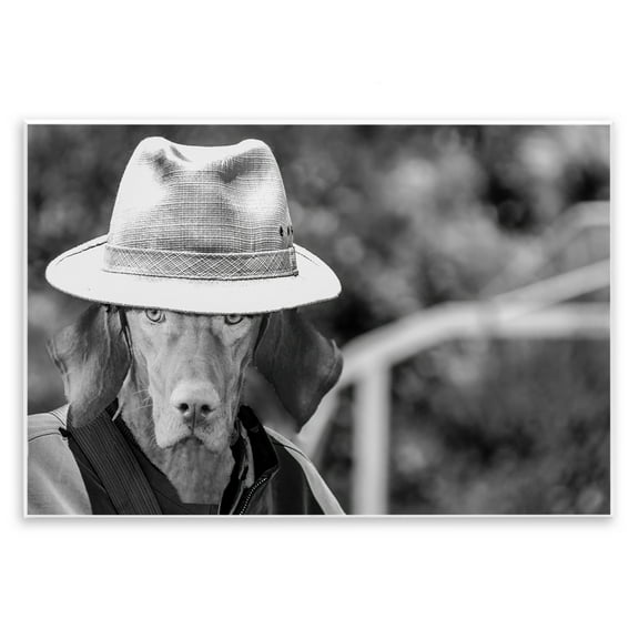 Stupell Industries Country Cowboy Dog Animals & Insects Photography Unframed Art Print Wall Art, 15 x 10