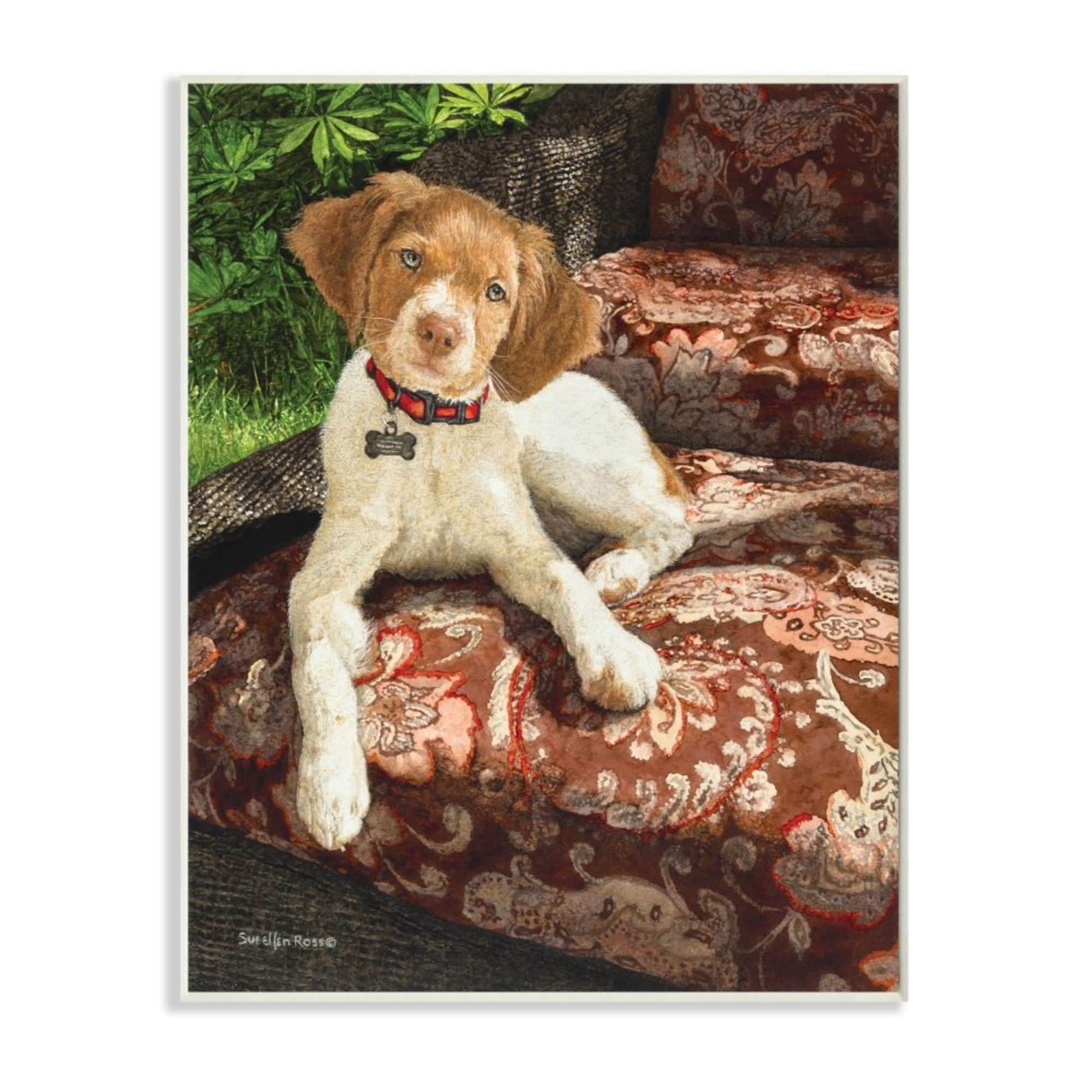 Stupell Industries Country Dog Sitting Floral Paisley Chair Still Life Design by Sueellen Ross