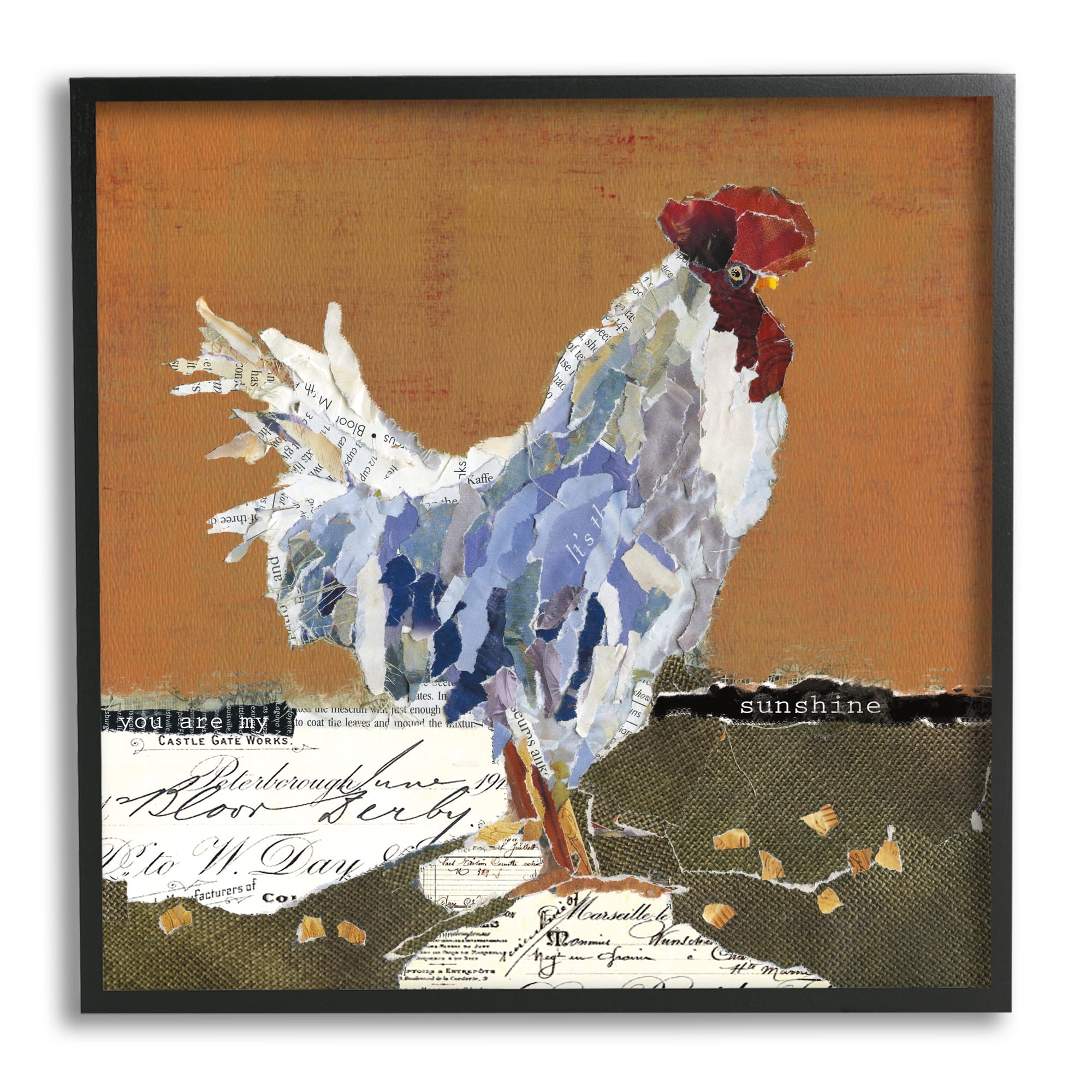 Stupell Industries Country Farm Chicken Collage My Sunshine Sentiment, 24 x 24, Design by Carol Robinson