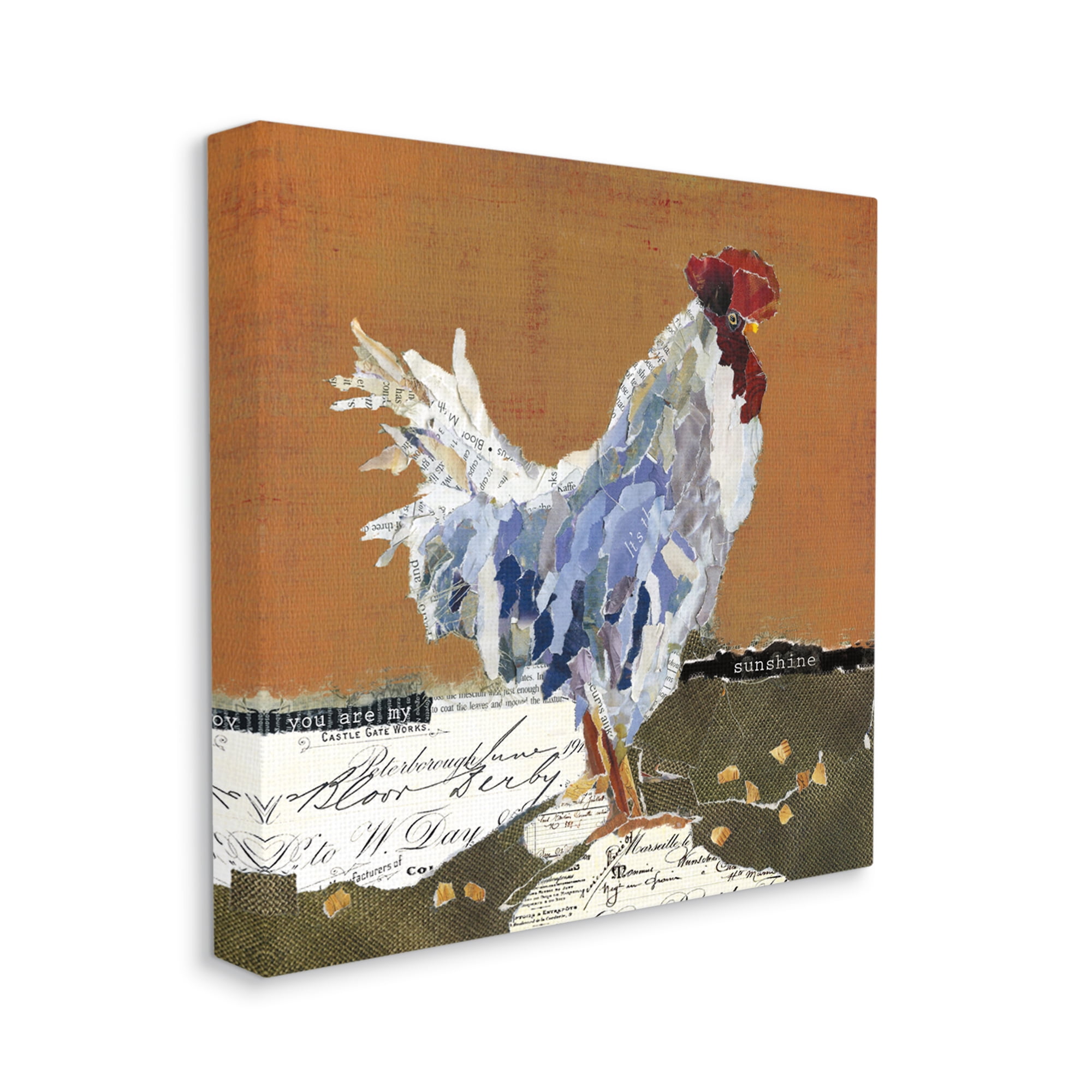Stupell Industries Country Farm Chicken Collage My Sunshine Sentiment, 36 x 36, Design by Carol Robinson