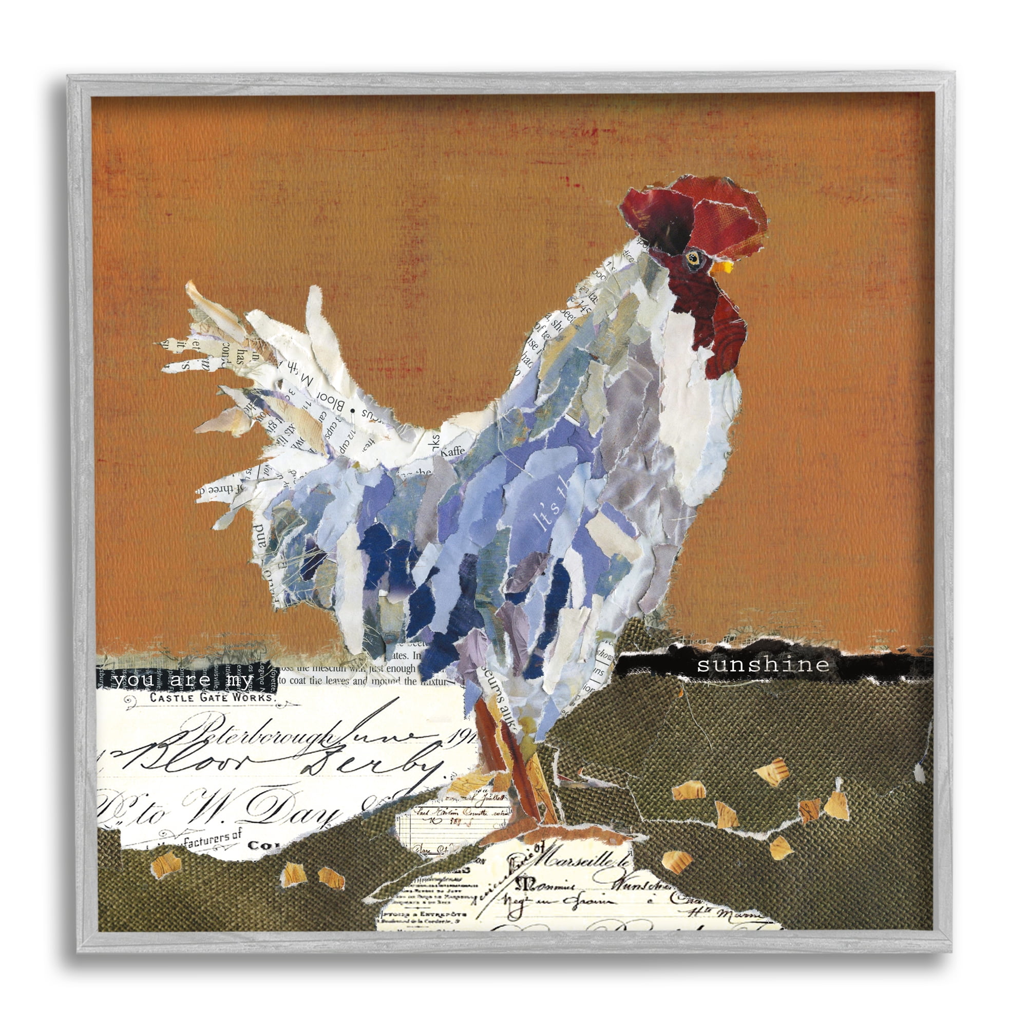 Stupell Industries Country Farm Chicken Collage My Sunshine Sentiment Animals & Insects Painting Gray Framed Art Print Wall Art, 24 x 24