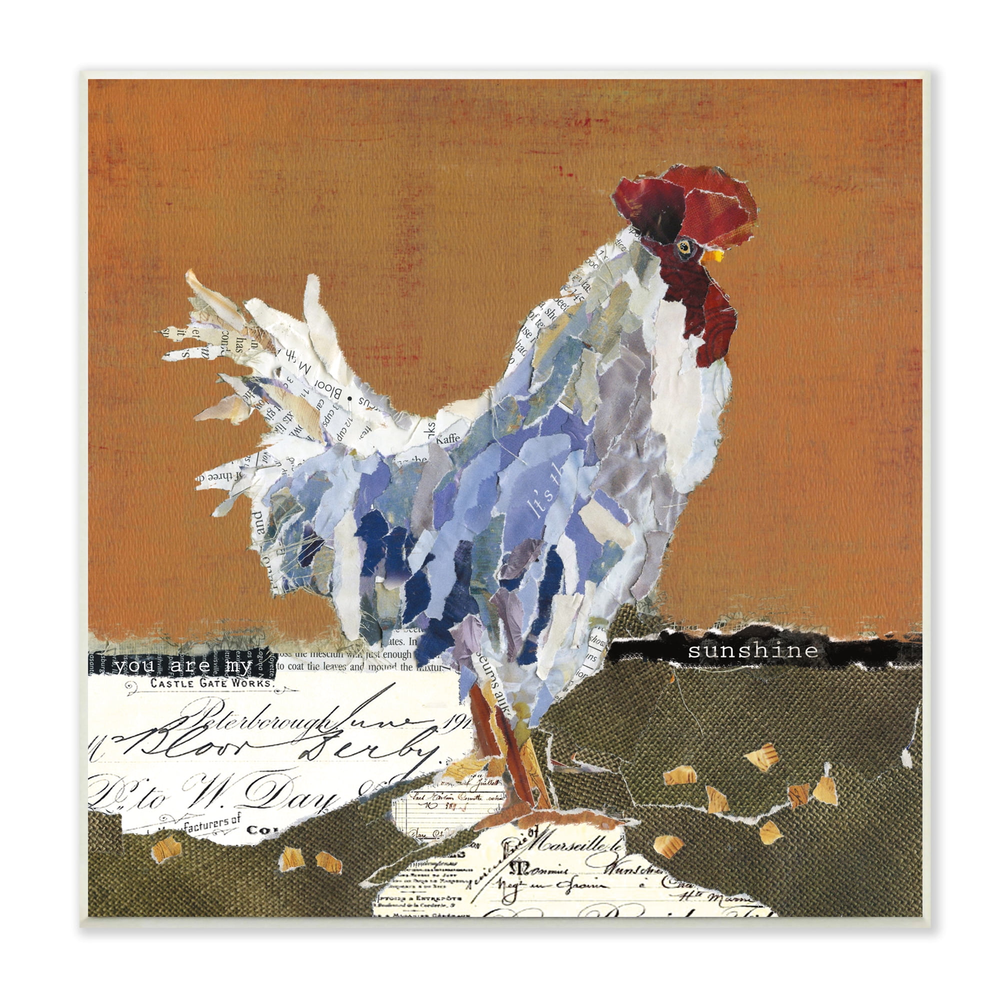 Stupell Industries Country Farm Chicken Collage My Sunshine Sentiment Animals & Insects Painting Unframed Art Print Wall Art, 12 x 12