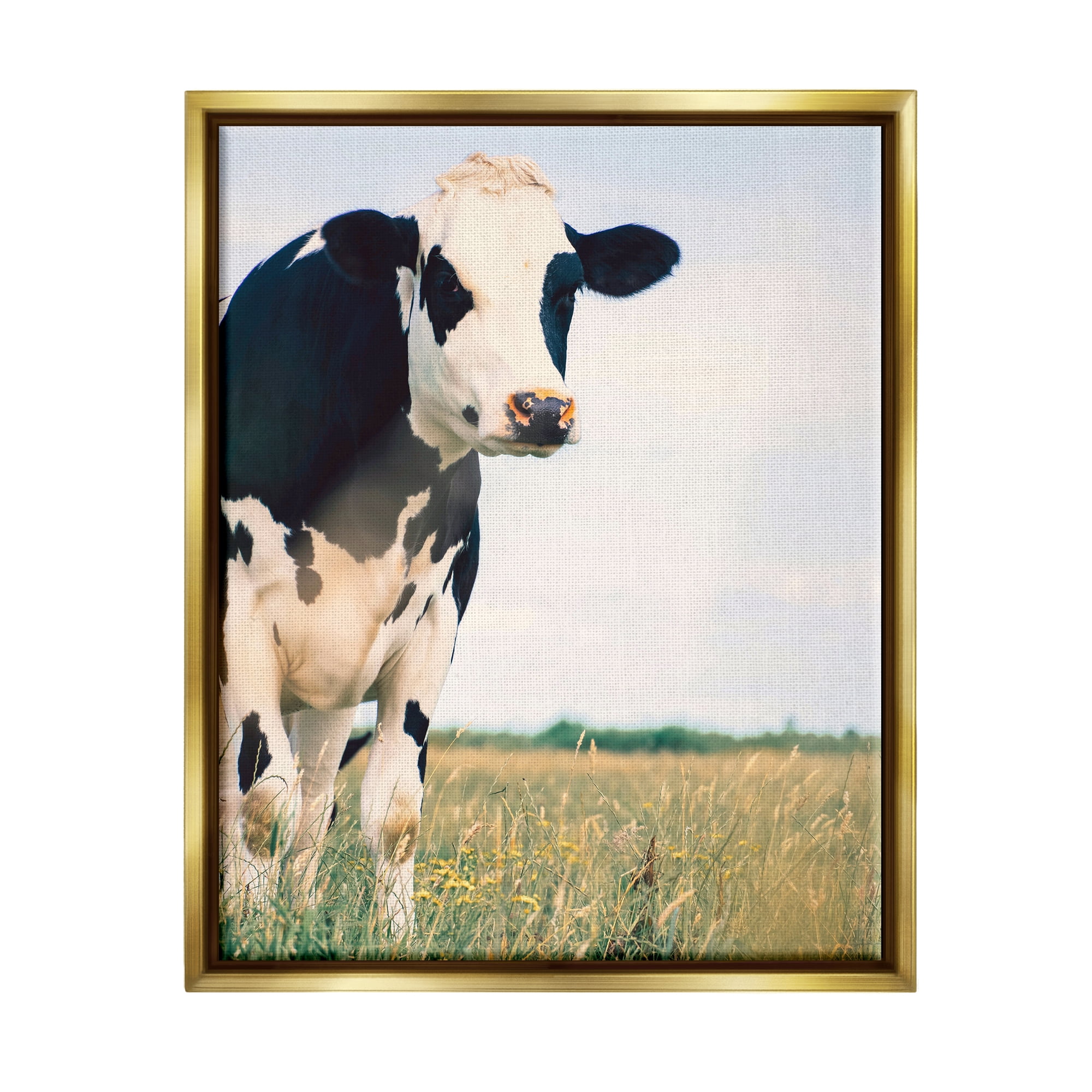 Stupell Industries Country Farm Cow Photography Animals & Insects Photography Gold Floater Framed Art Print Wall Art