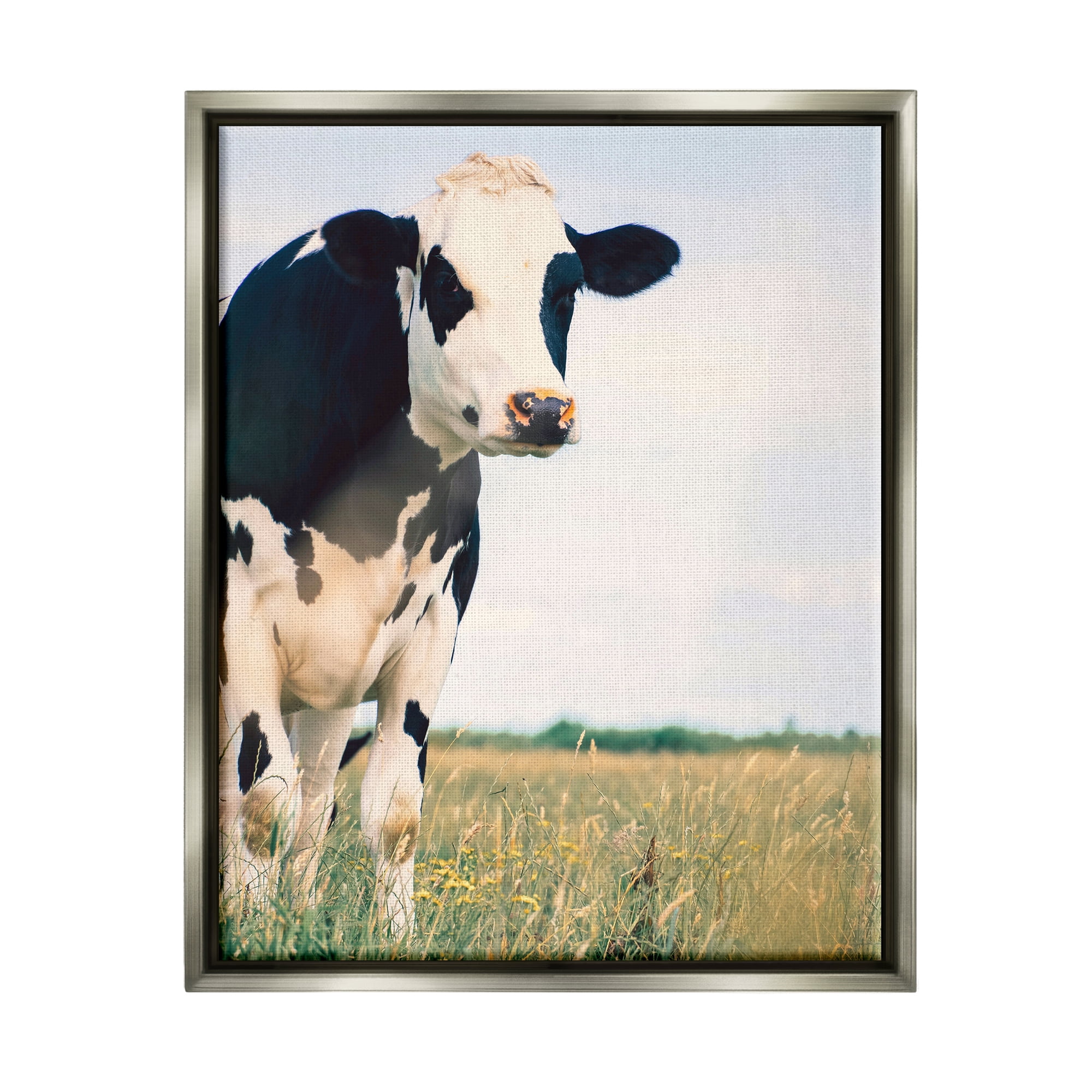 Stupell Industries Country Farm Cow Photography Animals & Insects Photography Gray Floater Framed Art Print Wall Art