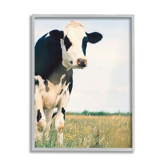 Stupell Industries Country Farm Cow Photography Animals & Insects Photography Gray Framed Art Print Wall Art