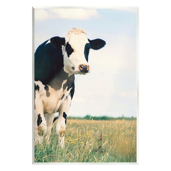 Stupell Industries Country Farm Cow Photography Animals & Insects Photography Unframed Art Print Wall Art