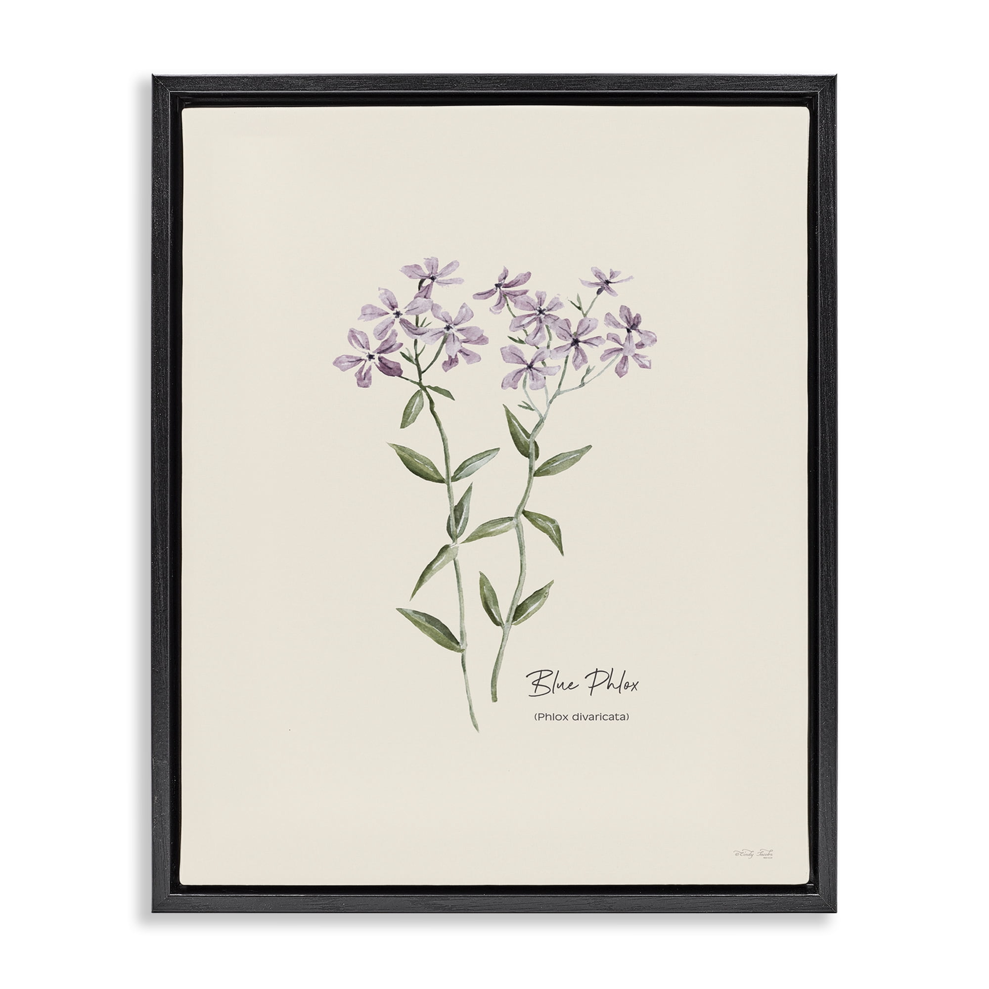 Stupell Industries Country Herb Diagram Botanical & Floral Painting Black Floater Framed Art Print Wall Art, 17 x 21