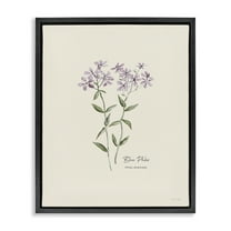 Stupell Industries Country Herb Diagram Botanical & Floral Painting Black Floater Framed Art Print Wall Art, 17 x 21