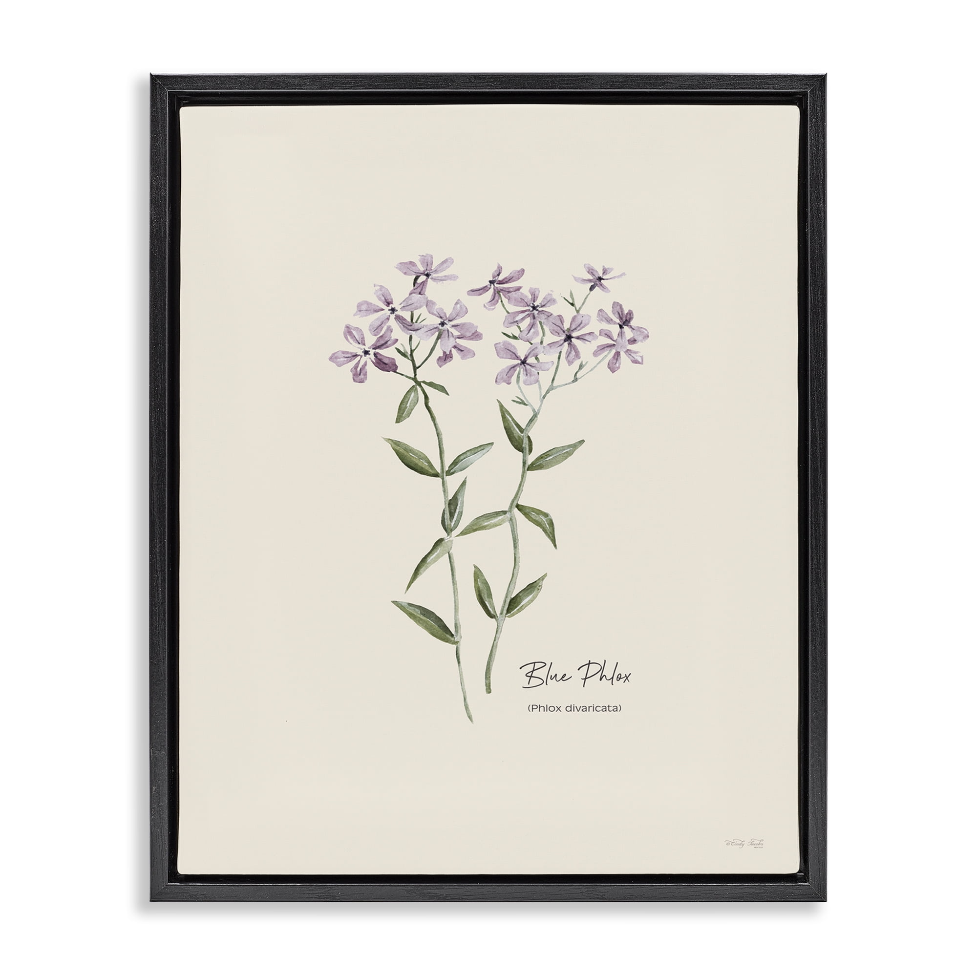 Stupell Industries Country Herb Diagram Botanical & Floral Painting Black Floater Framed Art Print Wall Art, 25 x 31