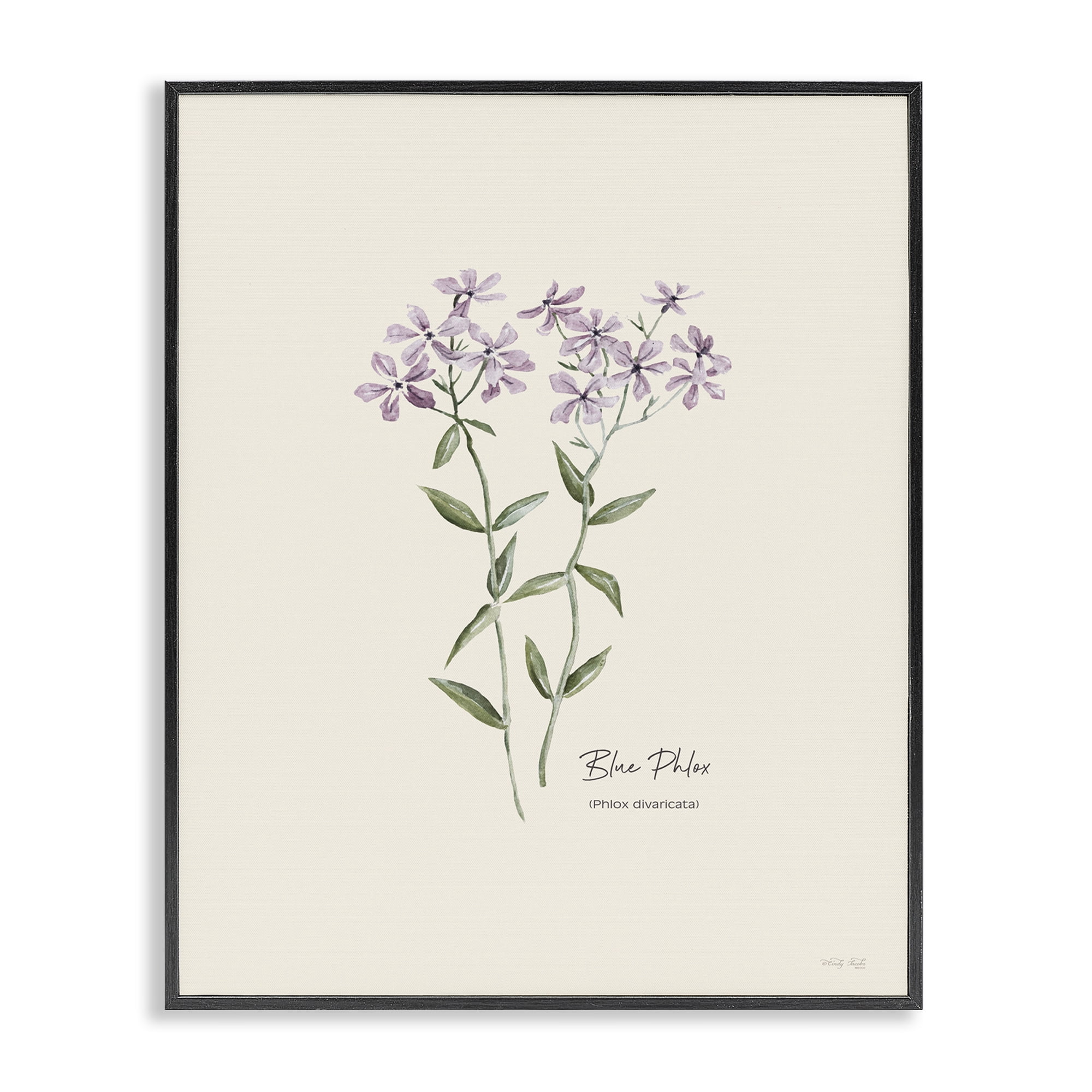 Stupell Industries Country Herb Diagram Botanical & Floral Painting Black Framed Art Print Wall Art, 11 x 14