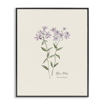 Stupell Industries Country Herb Diagram Botanical & Floral Painting Black Framed Art Print Wall Art, 11 x 14