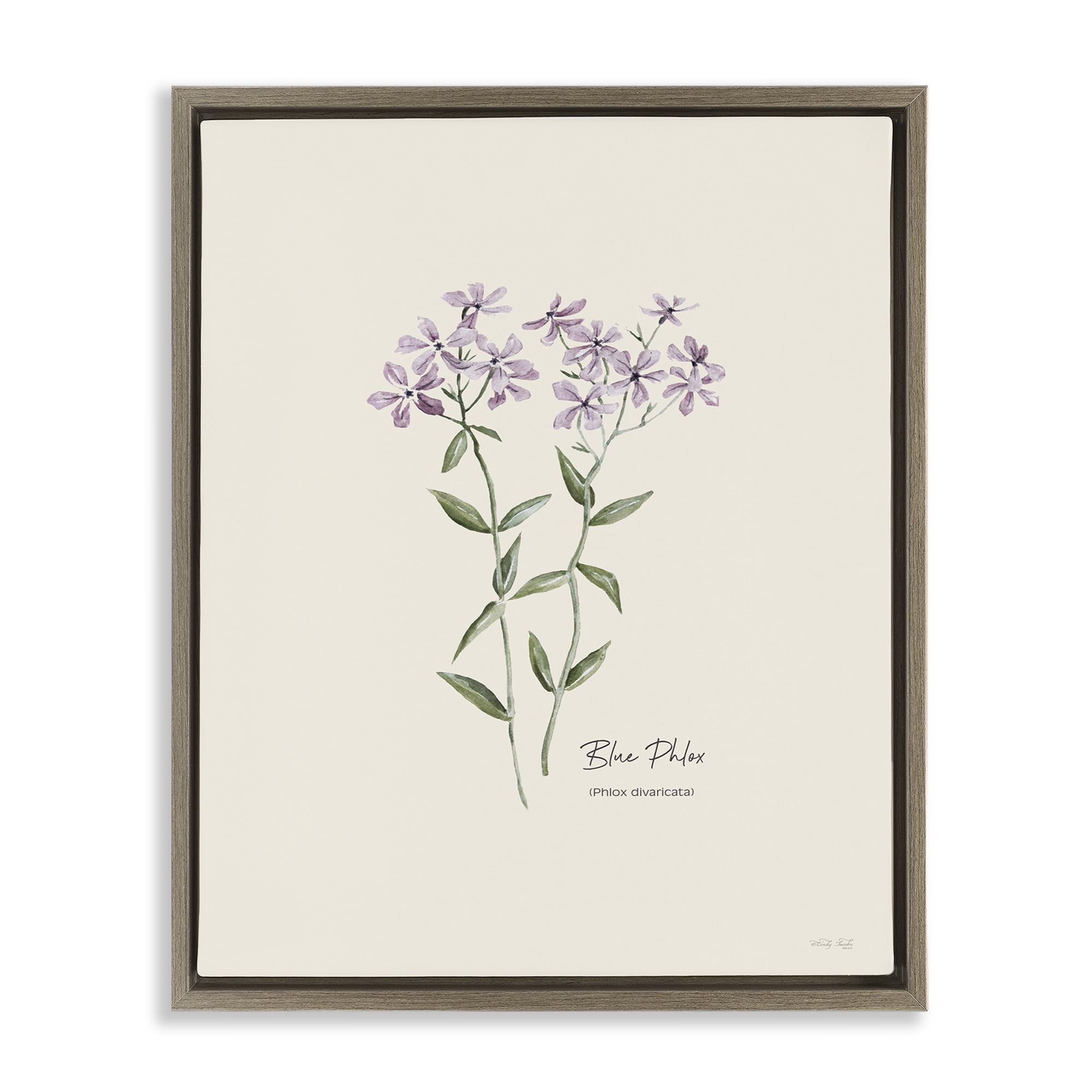 Stupell Industries Country Herb Diagram Botanical & Floral Painting Brown Floater Framed Art Print Wall Art, 25 x 31